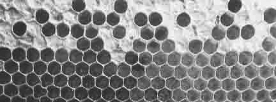 "move","move-archlab","mOve architecture laboratory","ricardo montoro coso","franca alexandra sonntag",concurso escuela son dameto d´alt, guarderia